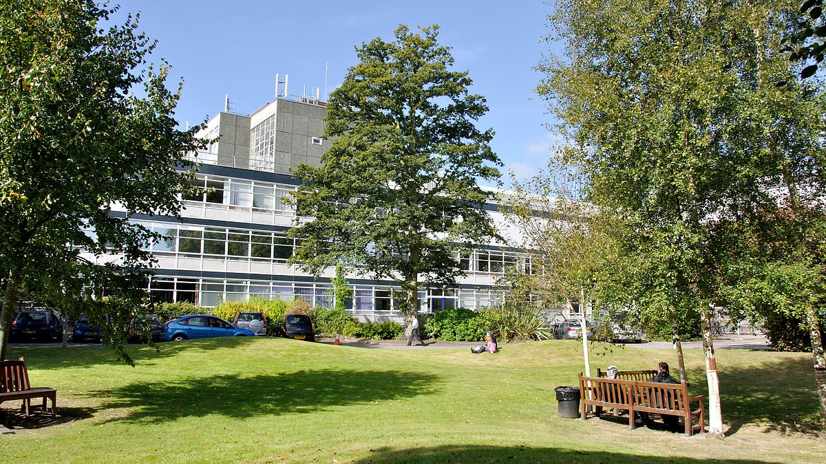 alert-–-revealed:-students-getting-into-university-with-three-es-at-a-level-in-order-to-hit-government-diversity-targets