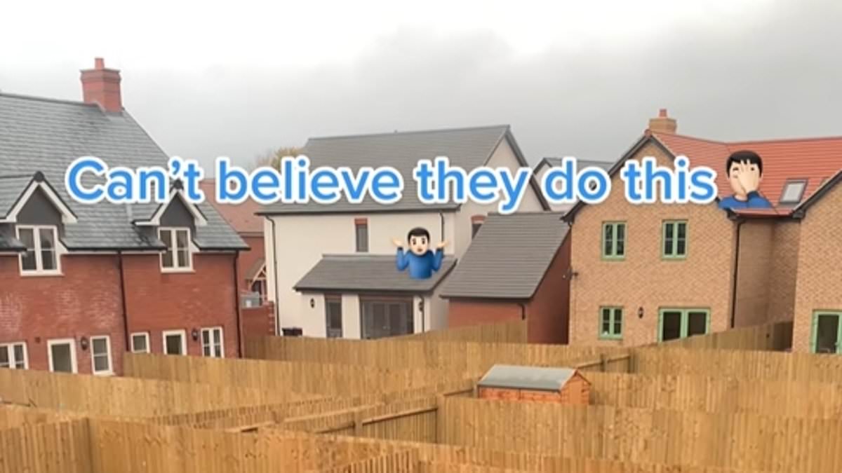 alert-–-the-grim-reality-of-life-on-a-newbuild-estate:-builder-warns-homes-are-‘diabolical’-after-posting-pics-of-endless-identikit-fenced-off-back-gardens