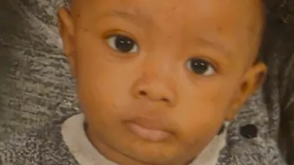 alert-–-i-thought-my-‘vegan’-sister-had-stopped-posting-her-toddler-on-social-media-for-privacy…-really-he-was-dead-she-and-her-‘religious’-husband-had-buried-him-in-their-garden-–-this-is-my-one-regret