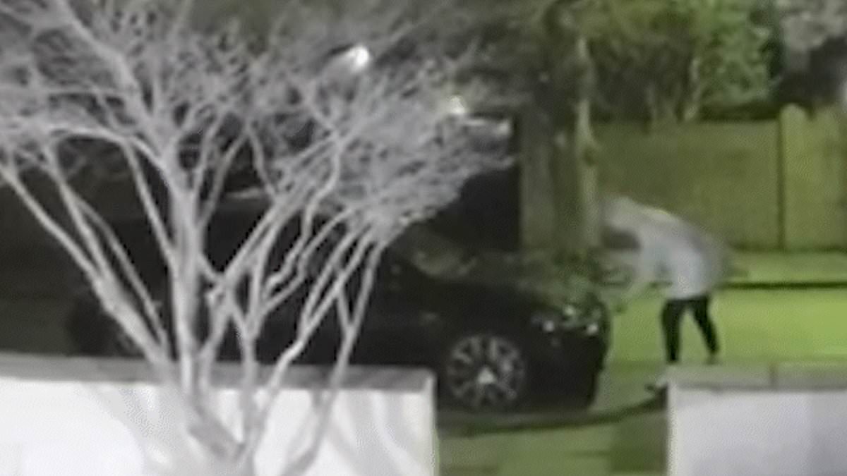 alert-–-gone-in-four-seconds:-brazen-thieves-are-stealing-1.5k-cruise-control-sensors-–-as-drivers-hit-out-at-manufacturers-for-‘design-flaw’