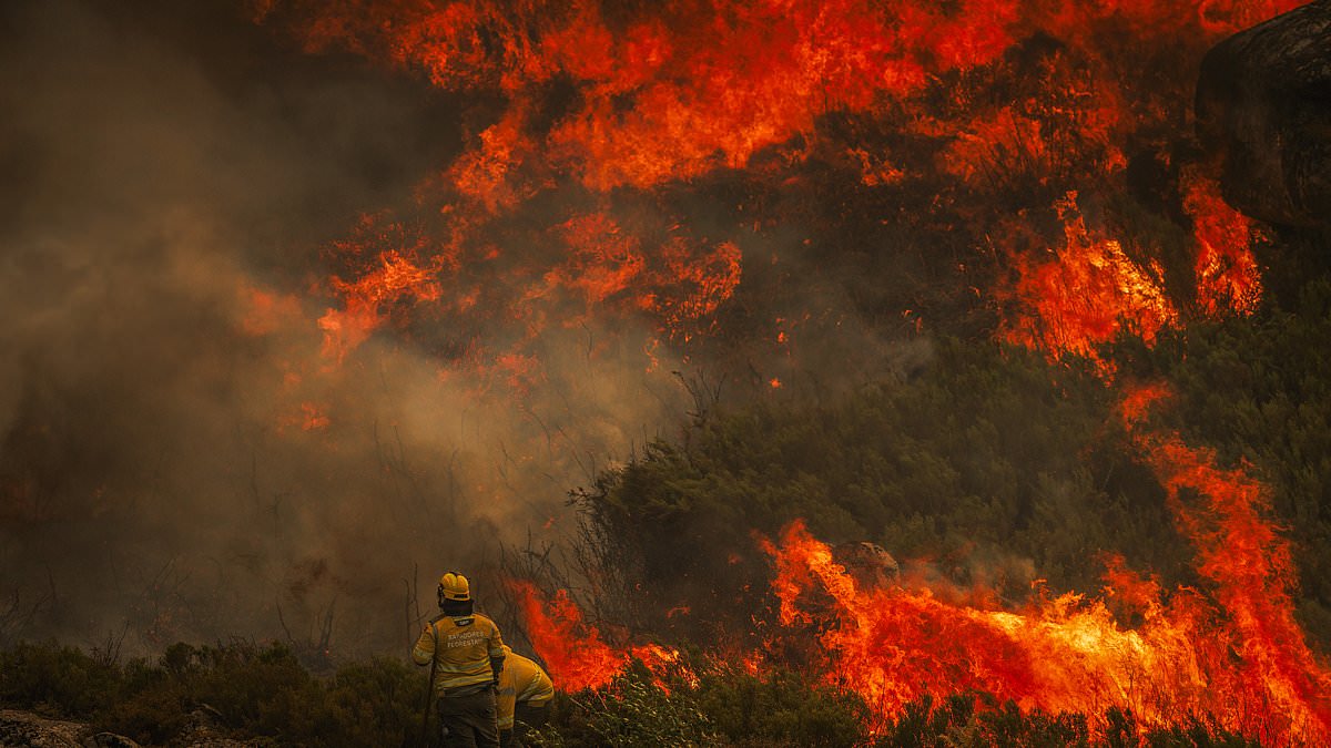 alert-–-europe-burns:-‘deliberate’-wildfires-force-evacuations-of-1,400-people-in-spain-as-uncontrolled-blazes-injure-several-in-portugal-and-mount-vesuvius-is-closed-to-tourists-in-italy