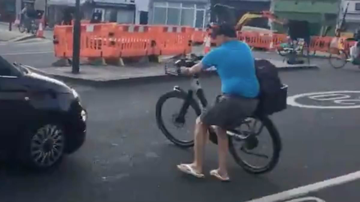 alert-–-moment-vigilante-cycling-mikey-pushes-his-bicycle-into-a-car-after-row-over-whether-motorist-could-drive-there