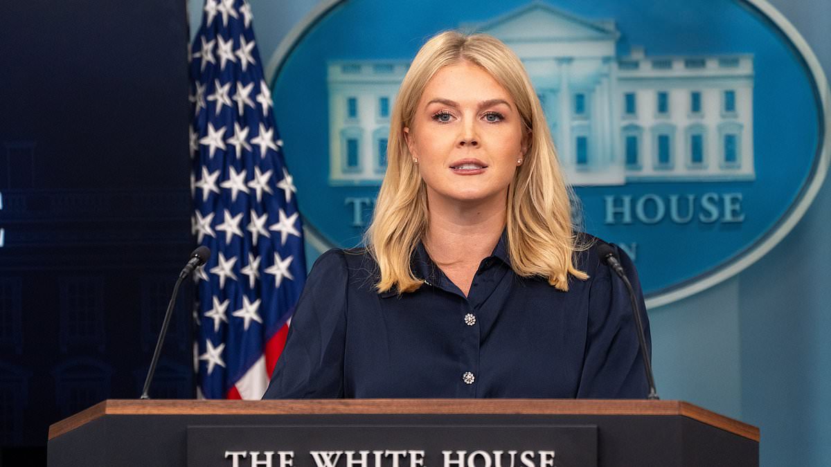 alert-–-white-house-gives-ultimatum-for-homeless-camps-with-imminent-plan-to-wipe-out-‘mentally-disturbed’