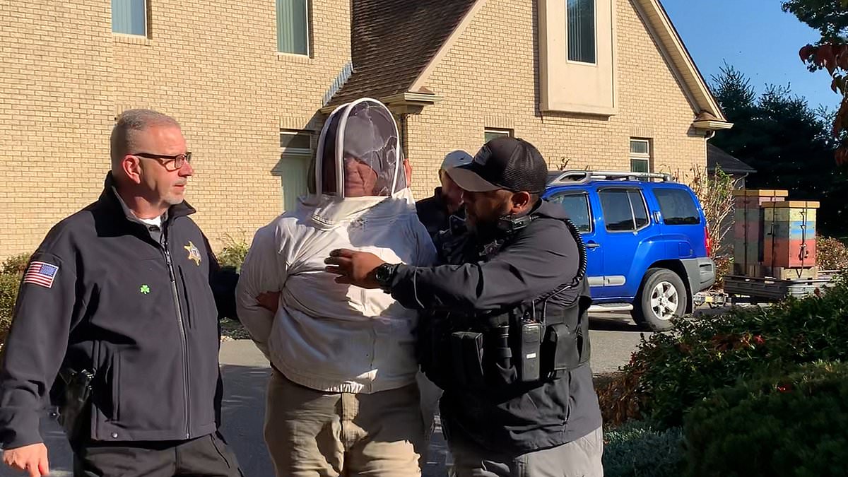 alert-–-fugitive-arrested-three-years-after-she-‘angered-huge-swarm-of-bees-then-set-them-on-cops-to-try-and-stop-an-eviction’