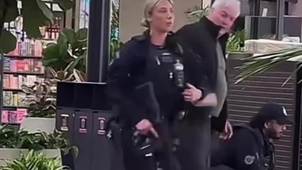 alert-–-shocking-twist-after-sydney-airport-gun-horror-–-as-police-reveal-it’s-a-miracle-no-one-was-hurt