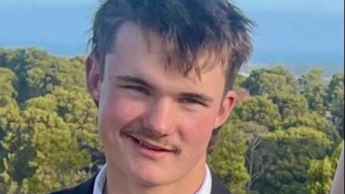 alert-–-inside-the-civil-war-that’s-ripped-apart-a-picturesque-coastal-town-over-accused-mass-wombat-killer-from-a-very-wealthy-family