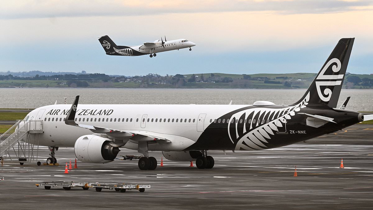 alert-–-emergency-on-a-plane-as-air-new-zealand-flight-is-urgently-diverted-to-sydney-after-‘mechanical-problem’