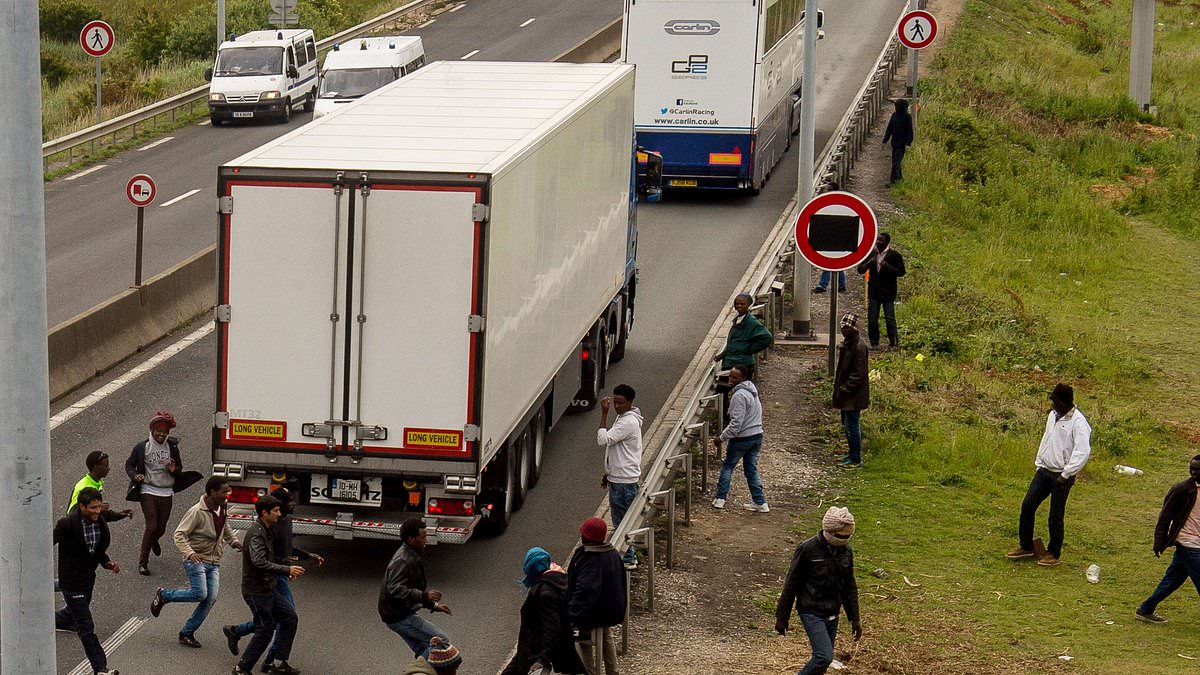 alert-–-illegal-migrants-hiding-in-lorries-could-be-behind-surge-in-food-poisoning-outbreaks-that-has-seen-up-to-3,000-trucks-contaminated,-claims-report