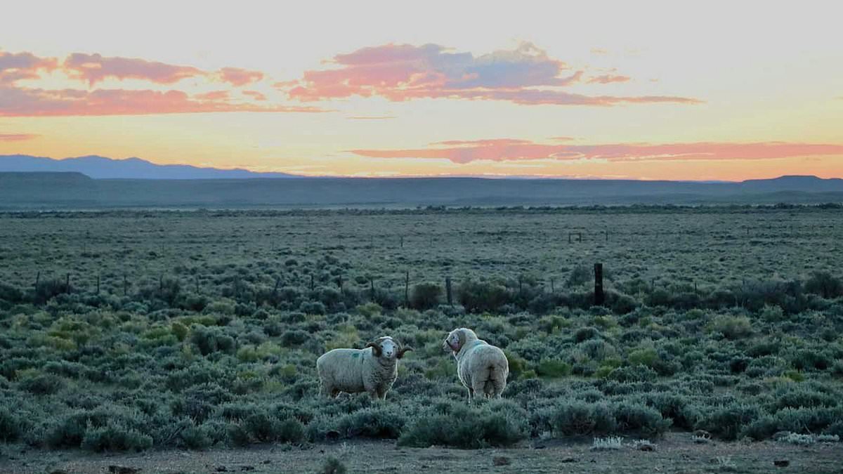 alert-–-stunning-wyoming-ranch-bigger-than-nyc-and-entire-state-of-delaware-up-for-sale-for-$22-million