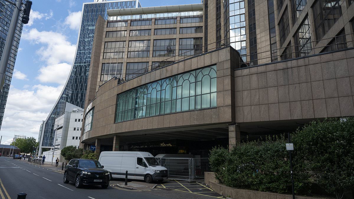 alert-–-migrant-from-canary-wharf-hotel-is-arrested-on-suspicion-of-common-assault-after-allegedly-entering-a-blind-woman’s-flat