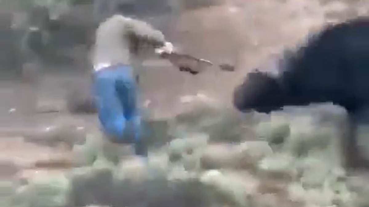 alert-–-when-animals-fight-back:-the-hunters-killed-by-the-very-beasts-they-were-hoping-to-slay-and-turn-into-trophies