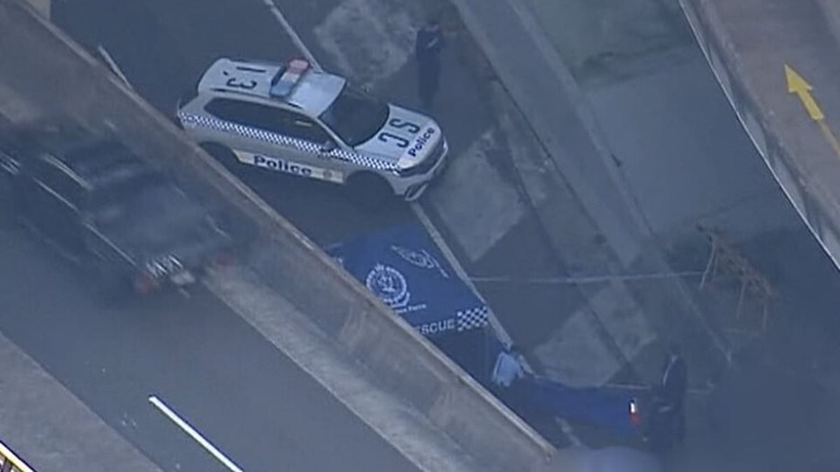 alert-–-disturbing-twist-after-a-couple-fell-to-their-deaths-from-a-bridge-in-sydney’s-cbd