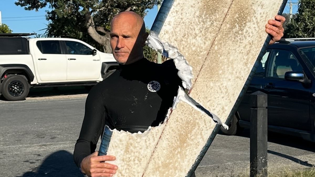 alert-–-surfer-survives-freak-close-encounter-with-four-metre-shark-at-cabarita-beach