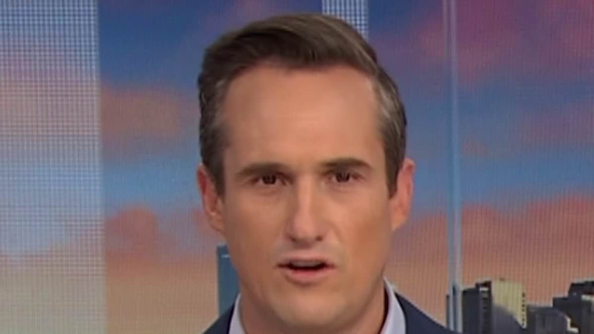 alert-–-wild-moment-abc-host-gives-albo’s-finance-boss-a-brutal-reality-check-about-the-dire-state-of-australia’s-housing-market