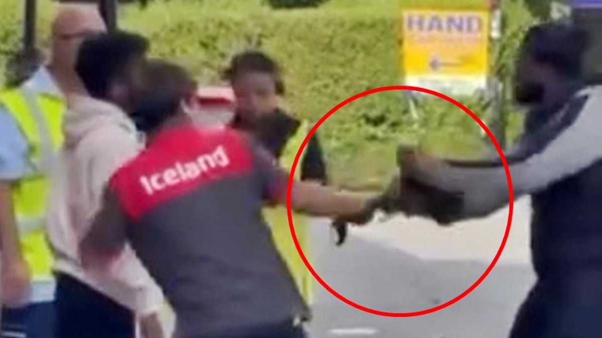 alert-–-moment-brazen-‘shoplifter’-is-confronted-by-hero-iceland-worker-as-pair-wrestle-over-bag-before-brave-passersby-help