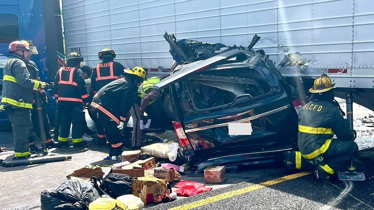 alert-–-appalling-past-of-indian-illegal-migrant-trucker-who-killed-three-with-illegal-u-turn