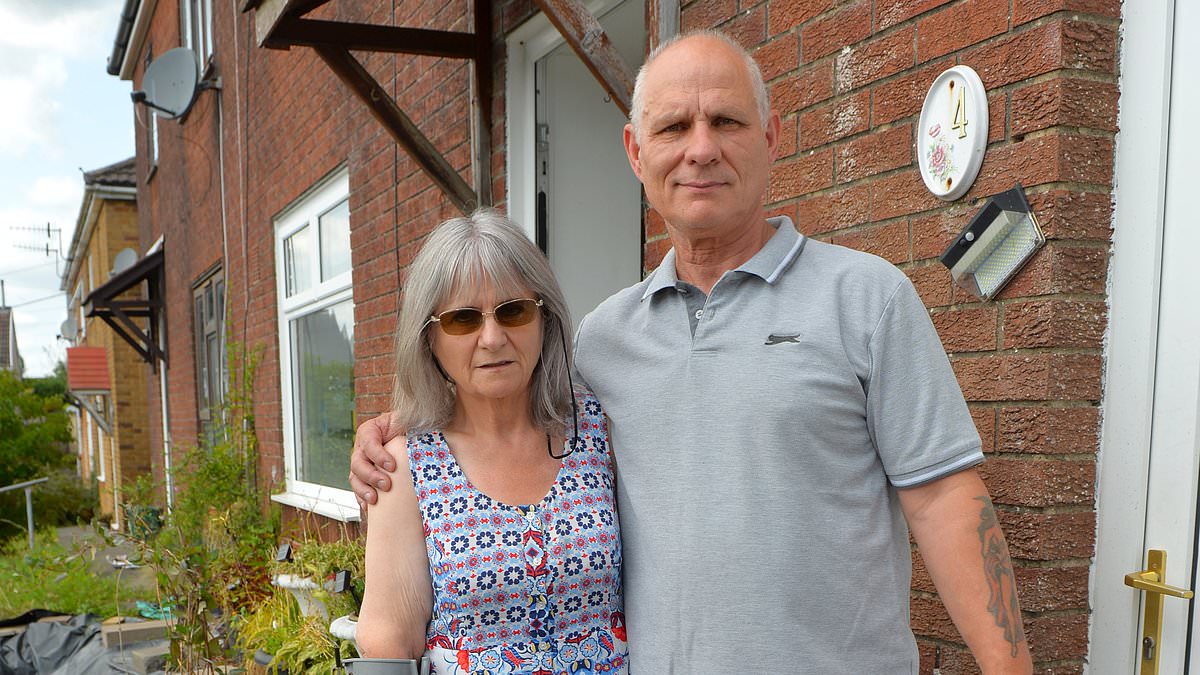 alert-–-husband-ordered-to-tear-up-5,000-front-garden-drive-he-built-to-help-his-illness-stricken-wife-by-jobsworth-council