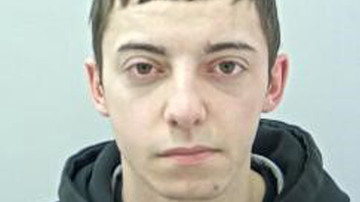 alert-–-drug-dealing-e-biker,-20,-jailed-after-killing-beloved-grandfather,-86,-as-he-crossed-the-road-for-fish-and-chips