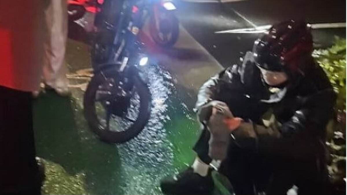 alert-–-food-delivery-is-stabbed-with-a-screwdriver-during-horrific-evening-attack-in-sydney