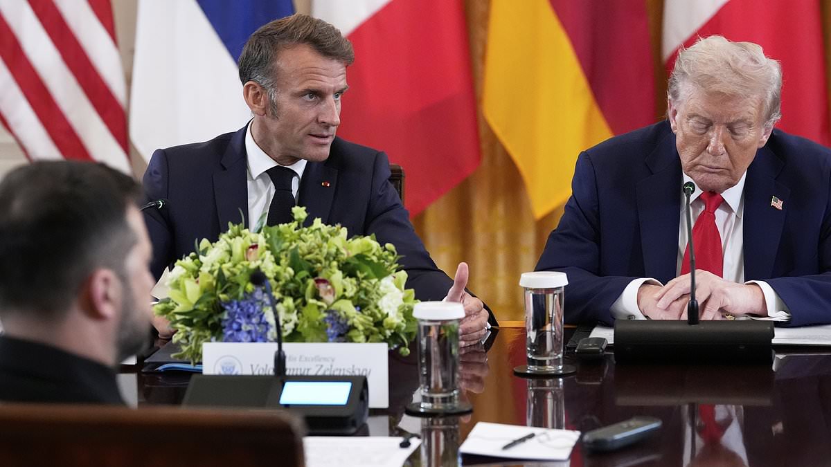 alert-–-trump-takes-playful-swipe-at-emmanuel-macron-as-he-debuts-oddly-dyed-hair-for-crucial-white-house-talks