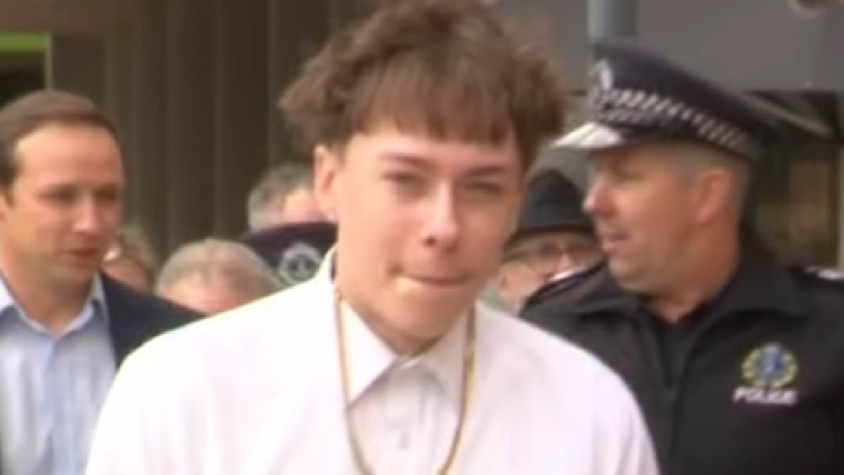 alert-–-aussie-rapper-is-accused-of-disgraceful-act-that-left-two-people-in-hospital-–-as-he-smiles-at-media-and-bares-his-grills-outside-court