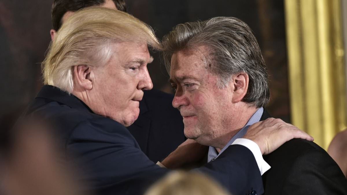 alert-–-maga-political-guru-bashes-trump-for-ukraine-peace-talks-while-ignoring-war-‘right-here-in-this-country’