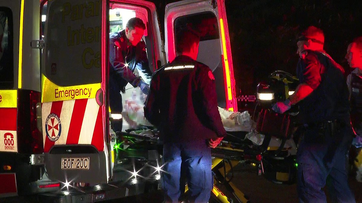alert-–-sydney’s-streets-are-rocked-by-second-fatal-shooting-in-48-hours-–-as-a-man-in-his-20s-is-ambushed-by-gunman-while-sitting-in-his-car