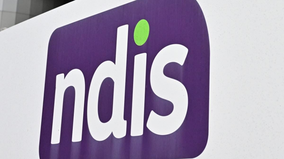 alert-–-secrets-of-the-country’s-biggest-rort:-how-the-ndis-is-being-exploited-to-fund-drugs,-gangs-and-even-holidays-–-as-aussies-expose-how-easy-it-is-to-scam-the-system