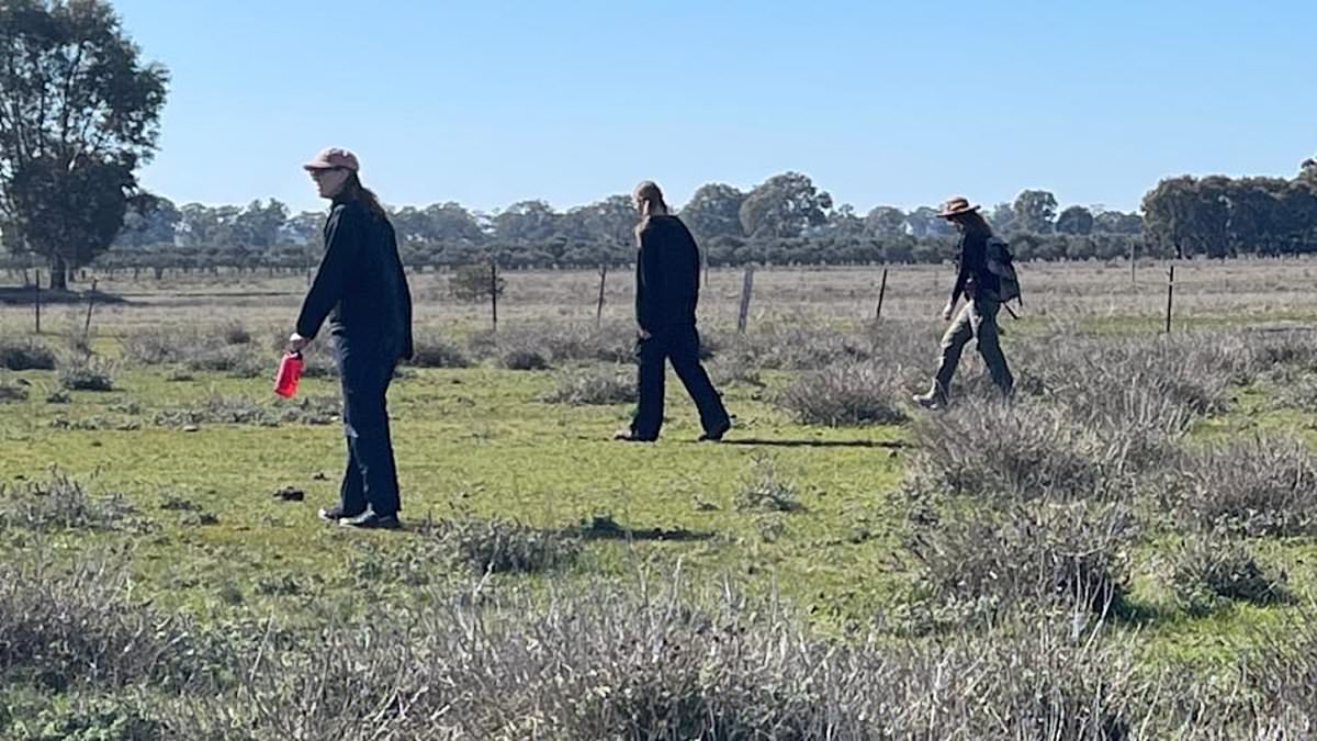 alert-–-desperate-race-to-find-extremely-valuable-treasure-believed-to-be-in-a-single-remote-australian-paddock