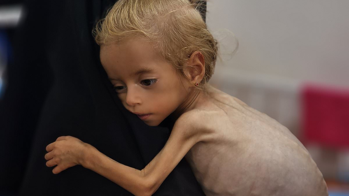 alert-–-famine-‘will-be-officially-declared-in-gaza-city-today’-by-body-responsible-for-monitoring-world-hunger