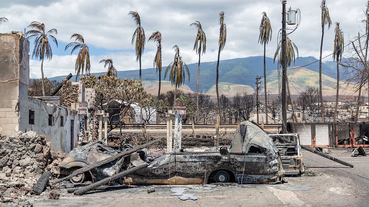 alert-–-the-devastating-reality-behind-surge-in-deaths-on-popular-hawaiian-island