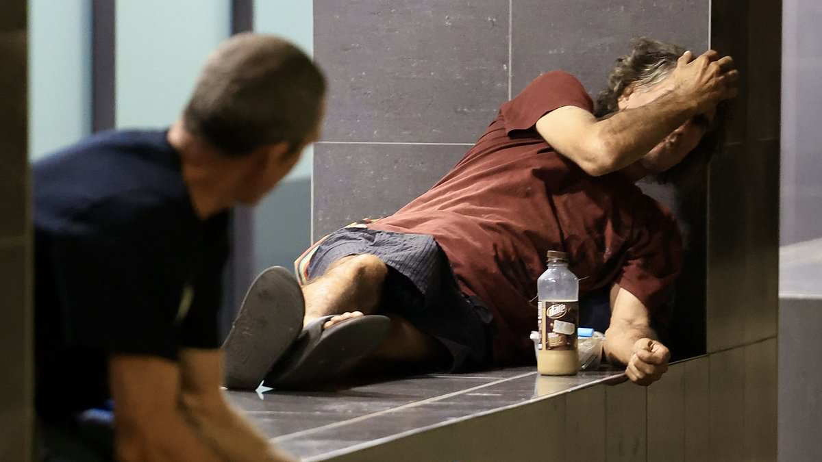 alert-–-i-visited-darwin-and-it’s-the-worst-city-in-australia.-please-don’t-make-me-go-back,-pleads-paul-shapiro