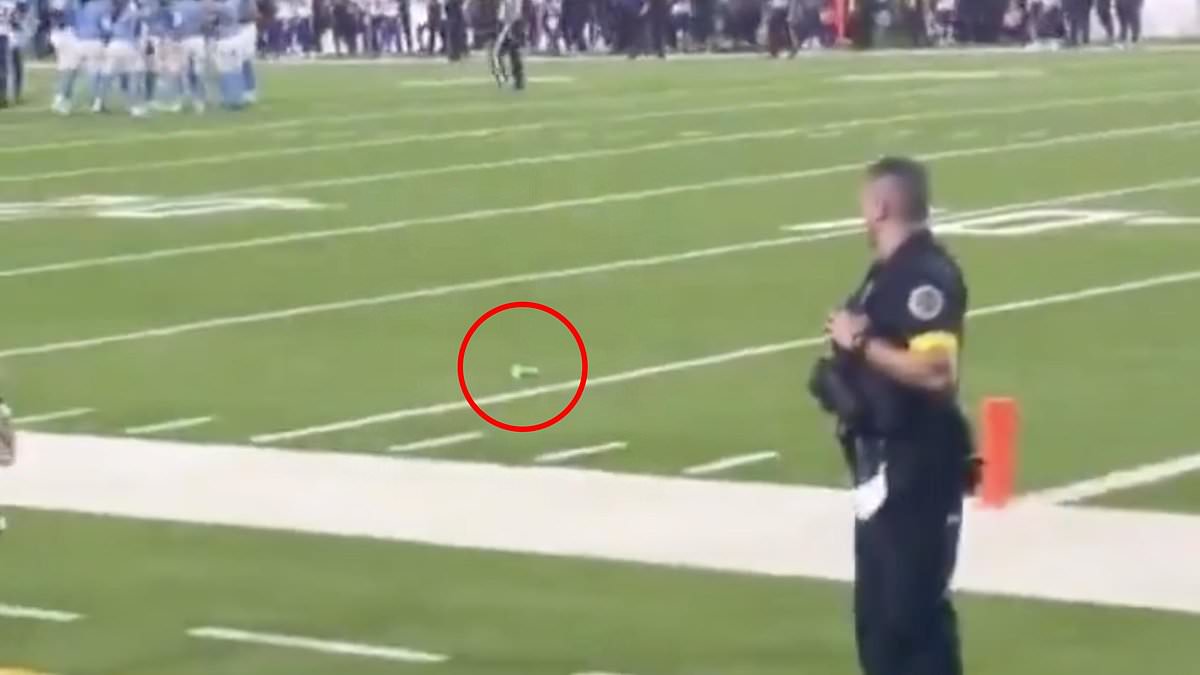 alert-–-police-called-to-vikings-titans-game-as-wnba’s-sex-toy-scandal-hits-the-nfl