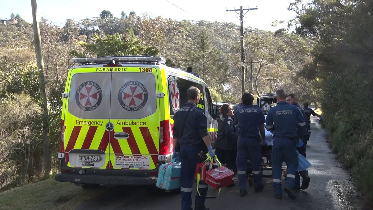 alert-–-mother-left-fighting-for-life-and-her-two-sons-found-with-stab-wounds-in-a-leura-house-as-cops-race-to-the-scene