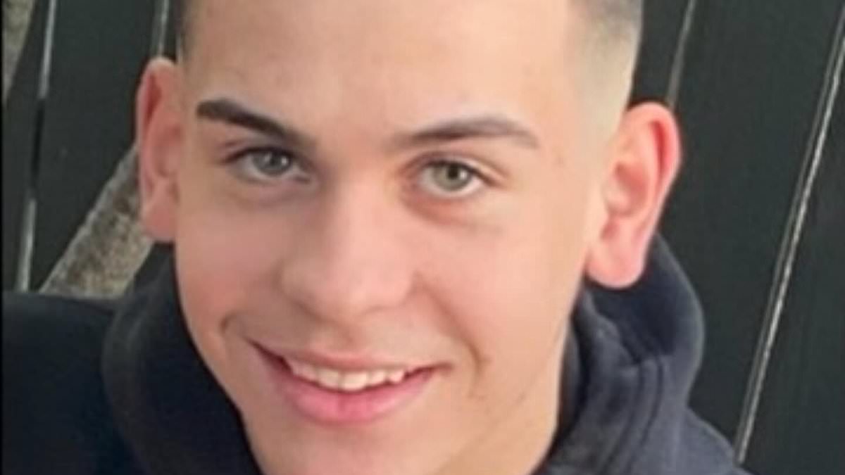alert-–-aboriginal-family-of-teenager-who-died-during-police-chase-are-denied-request-to-hold-smoking-ceremony-in-courtroom-as-cop-faces-trial