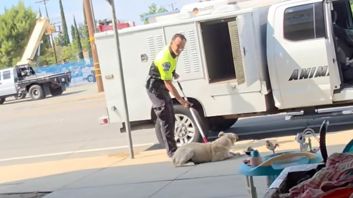 alert-–-shocking-moment-animal-control-officer-drags-‘sweet-baby’-dog-by-the-neck-and-throws-him-into-van