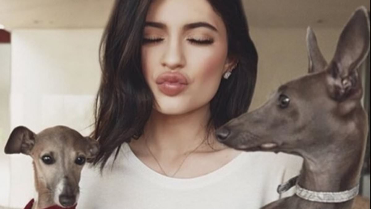 alert-–-kylie-jenner-gives-rare-update-on-beloved-dog-norman-that-she-got-at-age-17