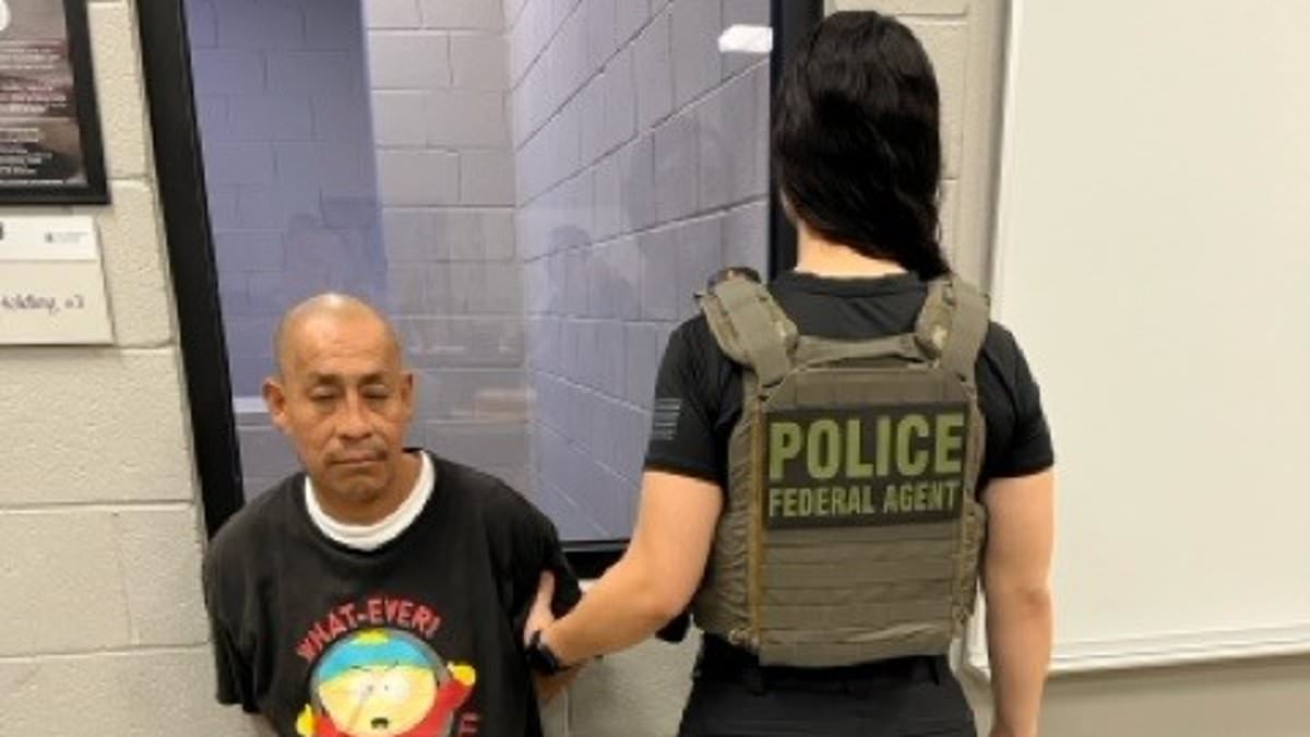 alert-–-ice-arrest-photo-from-san-diego-goes-viral-for-very-cheeky-reason