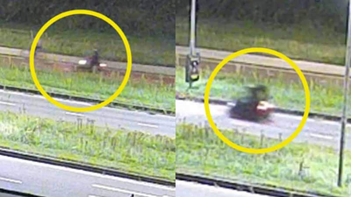 alert-–-girl,-17,-is-stabbed-to-death-while-calling-cops-to-report-being-followed-on-her-bike-ride-home-in-holland-as-cops-arrest-asylum-seeker-‘who-raped-woman-days-earlier’