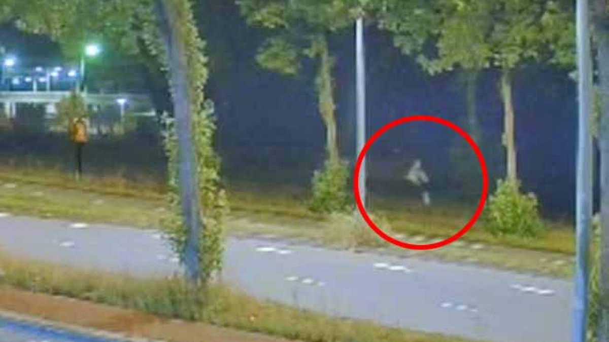 alert-–-holland’s-‘killer-asylum-seeker-on-the-prowl’:-chilling-cctv-‘shows-suspect-on-night-he-brutally-stabbed-17-year-old-girl-to-death-–-days-after-raping-woman-and-assaulting-another’