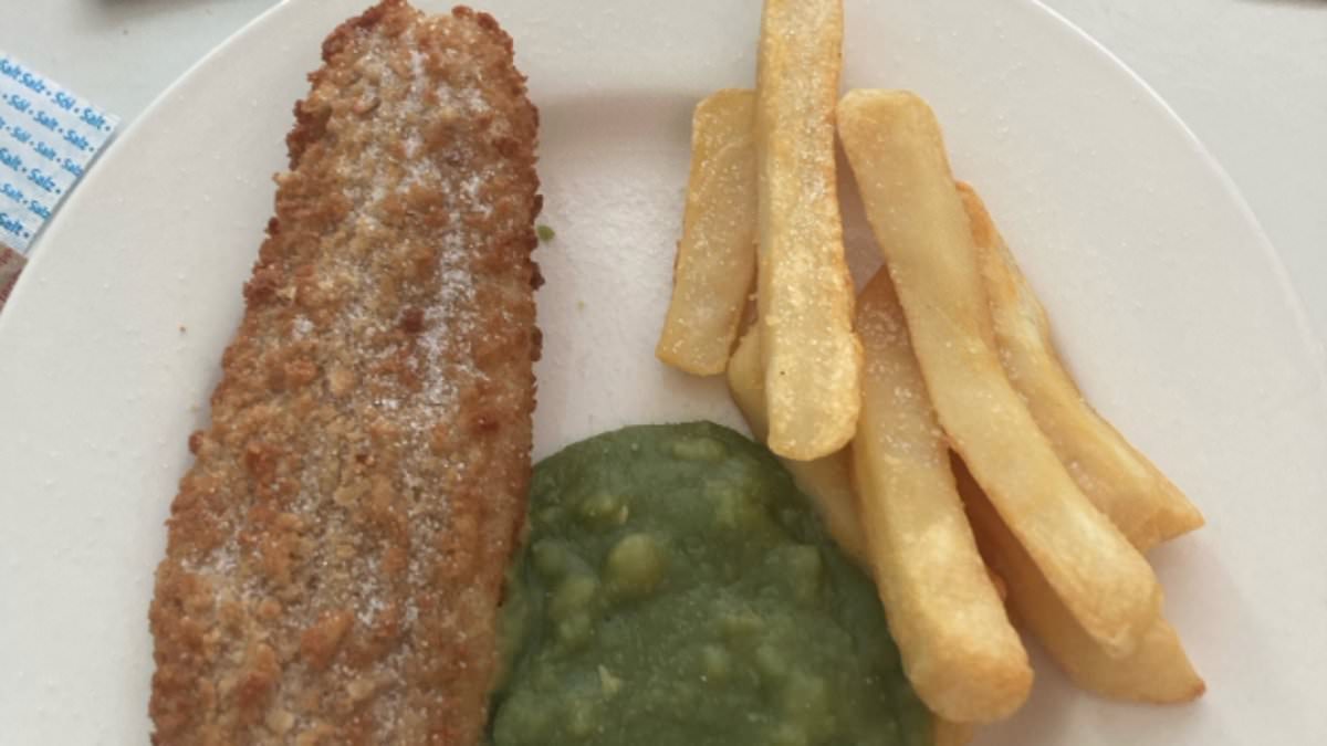 alert-–-former-radio-6-music-dj-liz-kershaw,-67,-is-reprimanded-by-fans-for-moaning-about-hospital-fish-and-chips