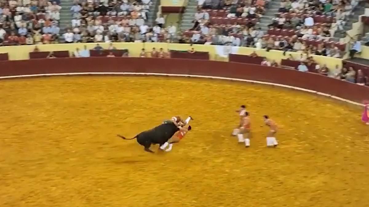 alert-–-renowned-portuguese-bullfighter,-22,-is-killed-by-huge-1,500lbs-bull-in-front-of-horrified-crowd-–-and-a-fan-also-dies-while-watching