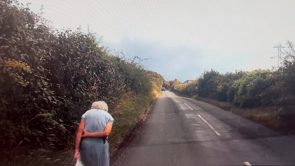 alert-–-taxi-driver’s-heart-stopping-close-call-as-he-suddenly-slams-on-the-brakes-after-spotting-elderly-woman-walking-on-blind-bend