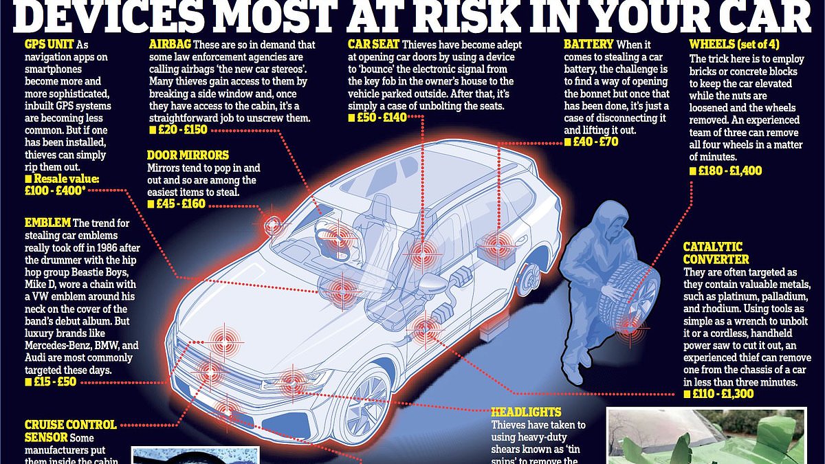 alert-–-car-thieves-no-longer-care-about-stealing-your-vehicle…-this-is-what-they-are-taking-instead,-how-much-money-they-are-raking-in-and-why-manufacturers-are-struggling-to-stop-them:-ross-clark