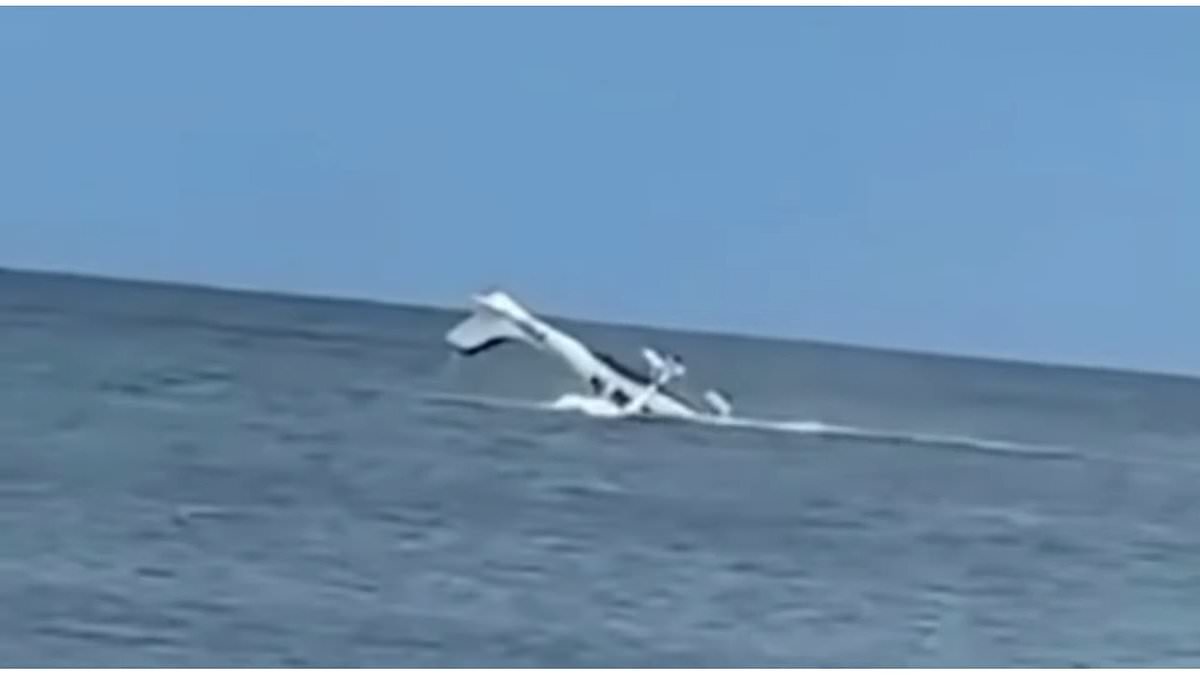 alert-–-pilot-cheats-death-after-terrifying-crash-into-the-ocean-as-rescuers-pull-him-from-sunken-plane
