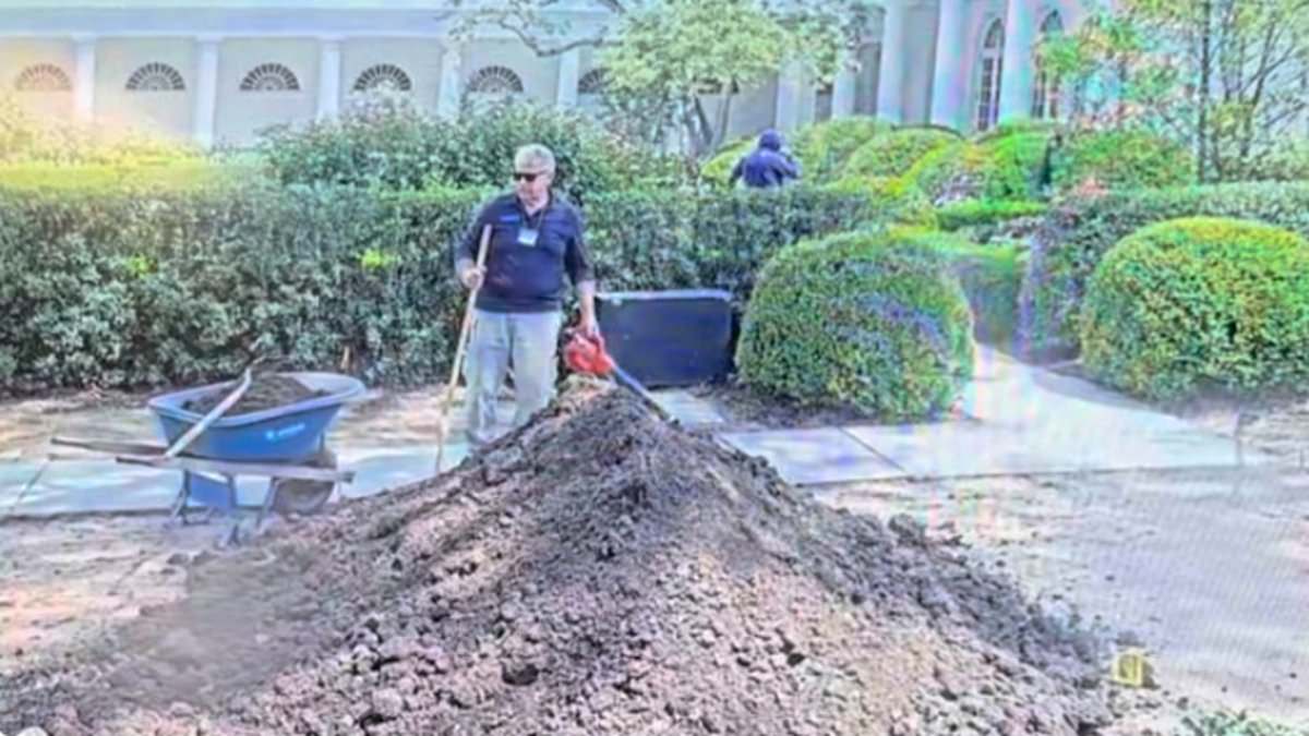 alert-–-trump-boasts-he-solved-bizarre-rose-garden-mystery-after-spotting-gash-in-white-house-stonework