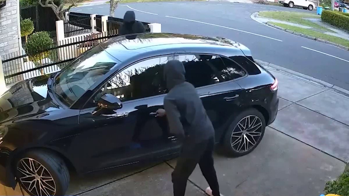 alert-–-terrifying-moment-thieves-try-to-steal-a-car-with-a-two-year-old-boy-inside-in-ashburton-–-as-chilling-detail-emerges-about-attempted-carjacking