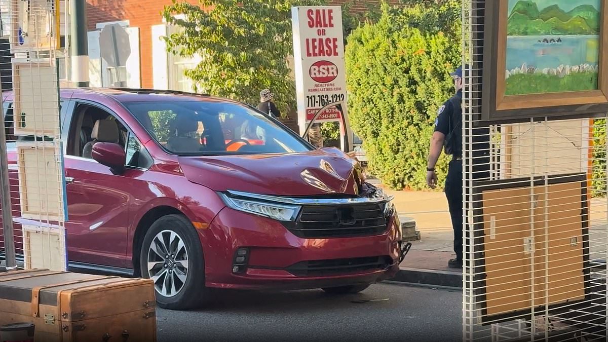 alert-–-festival-horror-after-minivan-plows-through-crowd-in-pennsylvania-as-witnesses-describe-‘chaotic-scene’