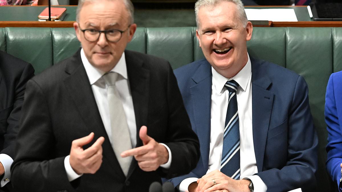 alert-–-immigration-minister-makes-major-announcement-about-australia’s-migration-numbers-two-days-after-nationwide-protests