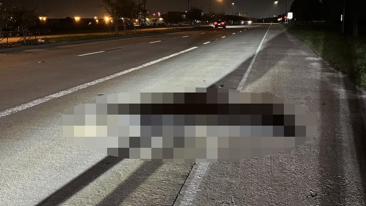 alert-–-traffic-forced-to-stop-on-busy-highway-after-very-unwelcome-beast-tries-to-cross